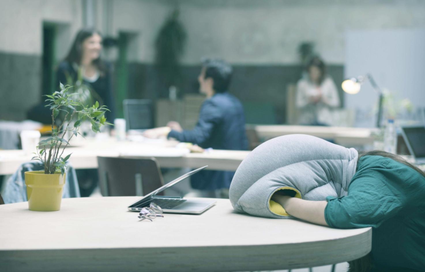 Yatırım teorisi etkinlikleri çalışma ortamı