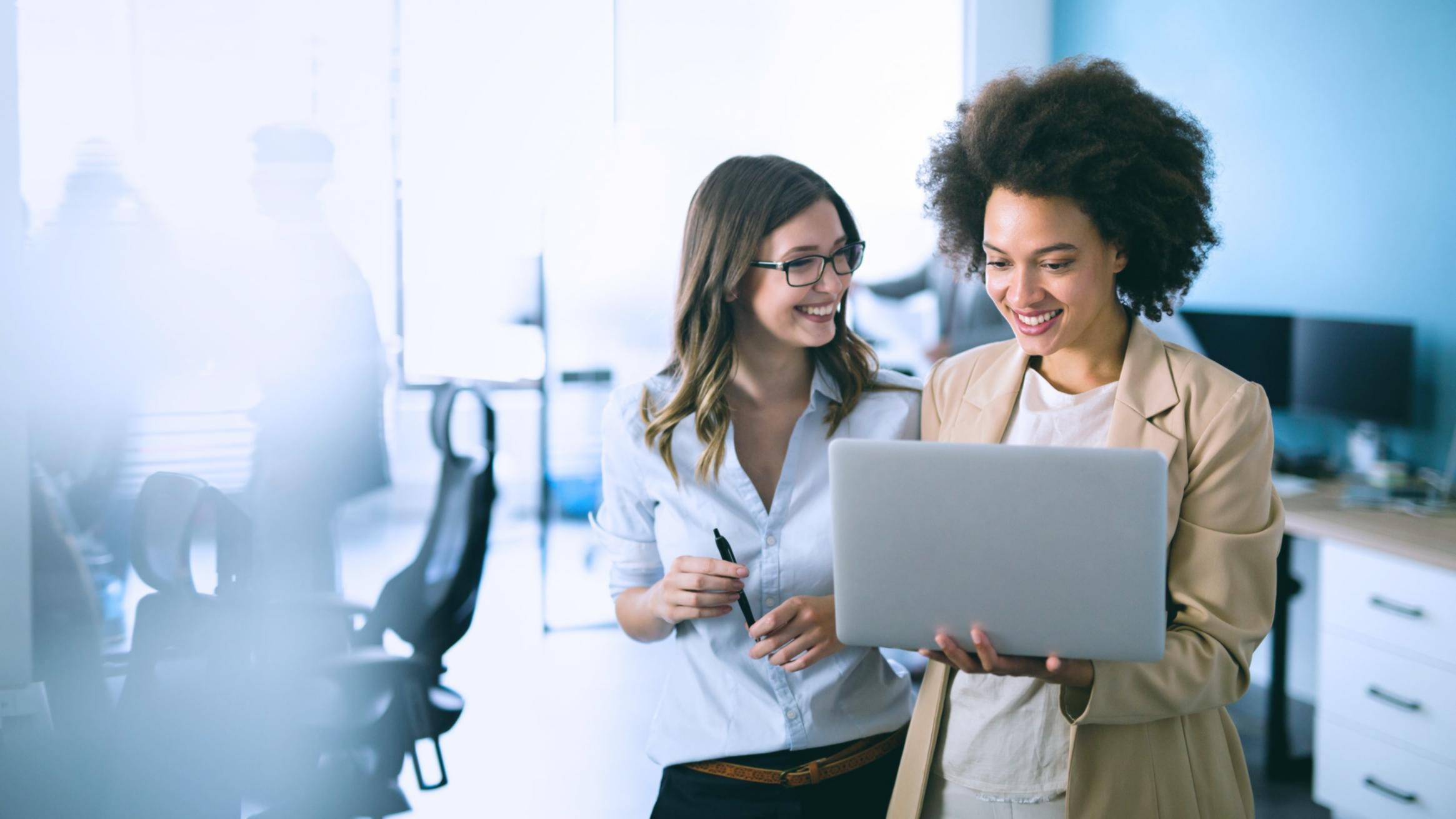 Wimnavor yatırım teorisi çalışma alanı